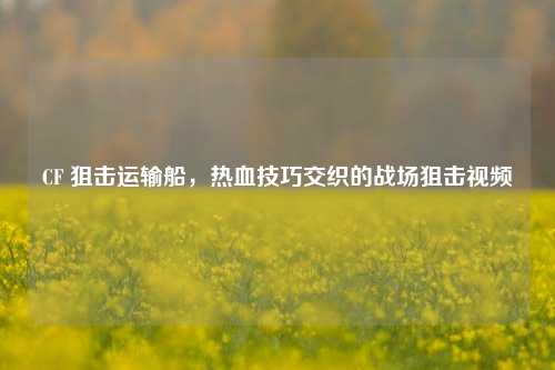 CF 狙击运输船,热血技巧交织的战场狙击视频
