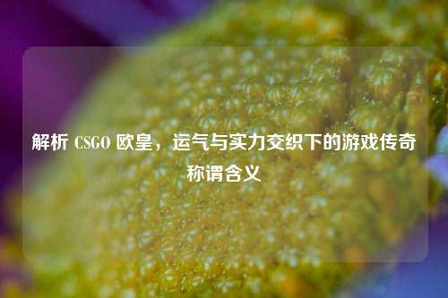 解析 CSGO 欧皇，运气与实力交织下的游戏传奇称谓含义