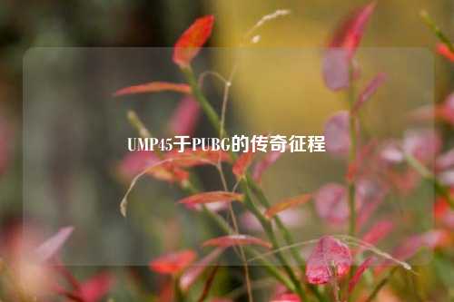 UMP45于PUBG的传奇征程