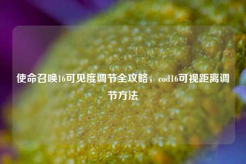 使命召唤16可见度调节全攻略,cod16可视距离调节 ***