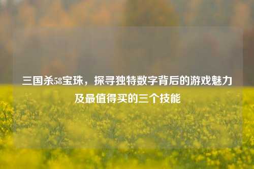 三国杀58宝珠，探寻独特数字背后的游戏魅力及最值得买的三个技能