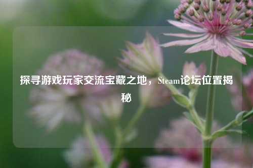 探寻游戏玩家交流宝藏之地,Steam论坛位置揭秘