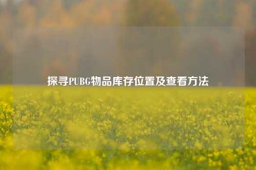 探寻PUBG物品库存位置及查看 *** 