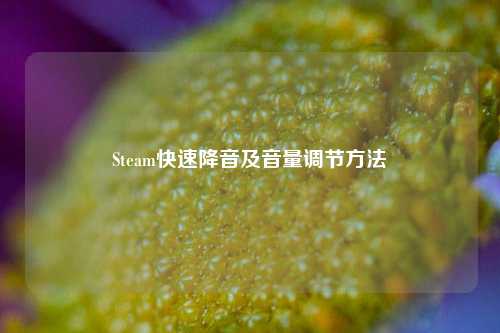 Steam快速降音及音量调节 *** 