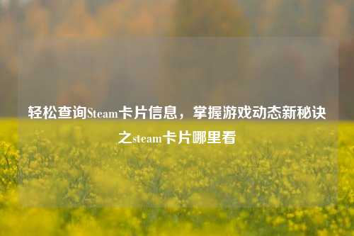轻松查询Steam卡片信息，掌握游戏动态新秘诀之steam卡片哪里看