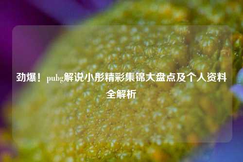 劲爆！pubg解说小彤精彩集锦大盘点及个人资料全解析