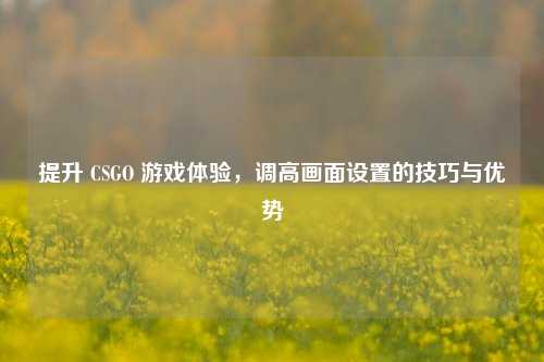 提升 CSGO 游戏体验，调高画面设置的技巧与优势