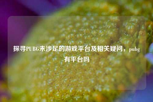 探寻PUBG未涉足的游戏平台及相关疑问，pubg有平台吗