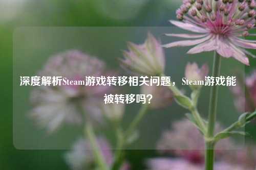 深度解析Steam游戏转移相关问题,Steam游戏能被转移吗?