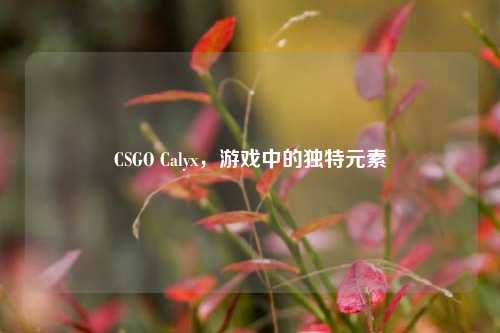CSGO Calyx，游戏中的独特元素