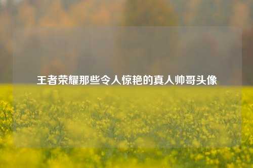 王者荣耀那些令人惊艳的真人帅哥头像