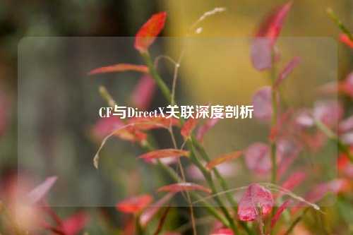 CF与DirectX关联深度剖析