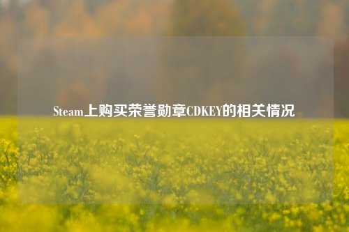 Steam上购买荣誉勋章CDKEY的相关情况