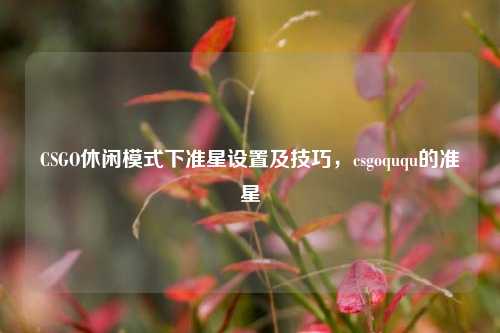 CSGO休闲模式下准星设置及技巧，csgoququ的准星