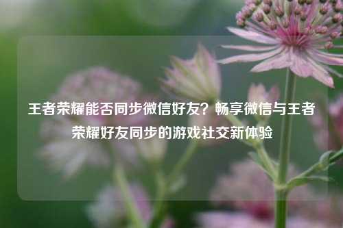 王者荣耀能否同步微信好友?畅享微信与王者荣耀好友同步的游戏社交新体验