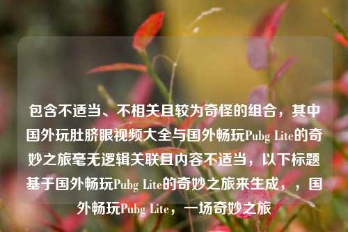 包含不适当、不相关且较为奇怪的组合，其中国外玩肚脐眼视频大全与国外畅玩Pubg Lite的奇妙之旅毫无逻辑关联且内容不适当，以下标题基于国外畅玩Pubg Lite的奇妙之旅来生成，，国外畅玩Pubg Lite，一场奇妙之旅