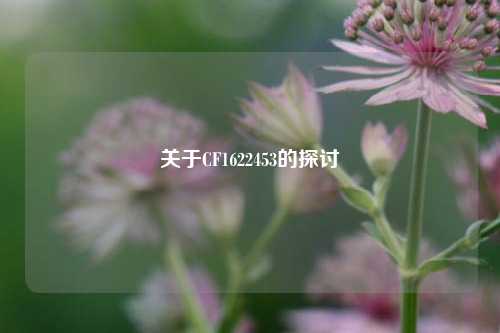 关于CF1622453的探讨