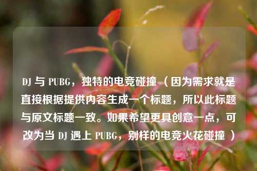 DJ 与 PUBG,独特的电竞碰撞 (因为需求就是直接根据提供内容生成一个标题,所以此标题与原文标题一致。如果希望更具创意一点,可改为当 DJ 遇上 PUBG,别样的电竞火花碰撞 )