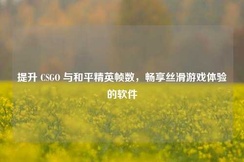 提升 CSGO 与和平精英帧数,畅享丝滑游戏体验的软件