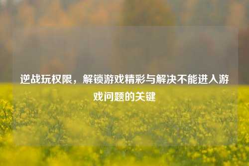 逆战玩权限，解锁游戏精彩与解决不能进入游戏问题的关键