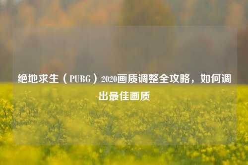 绝地求生（PUBG）2020画质调整全攻略，如何调出更佳画质