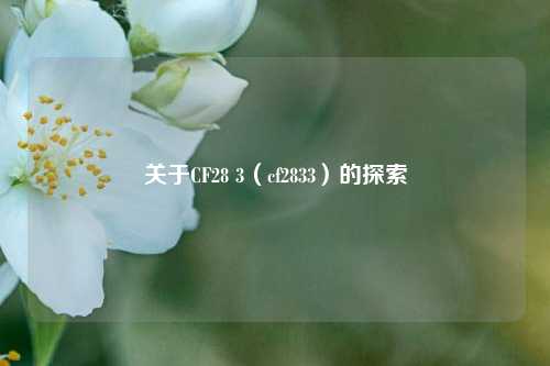 关于CF28 3（cf2833）的探索