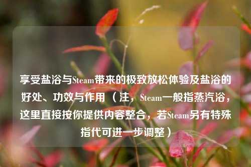 享受盐浴与Steam带来的极致放松体验及盐浴的好处、功效与作用 （注，Steam一般指蒸汽浴，这里直接按你提供内容整合，若Steam另有特殊指代可进一步调整）