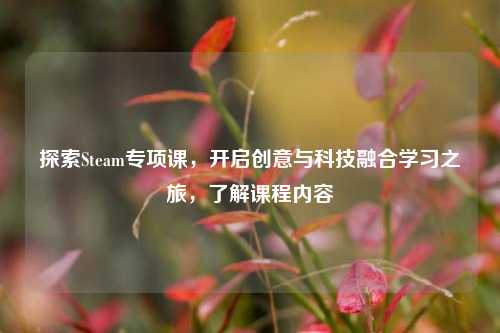 探索Steam专项课，开启创意与科技融合学习之旅，了解课程内容
