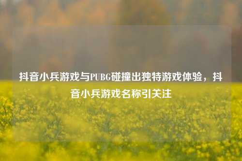 抖音小兵游戏与PUBG碰撞出独特游戏体验，抖音小兵游戏名称引关注