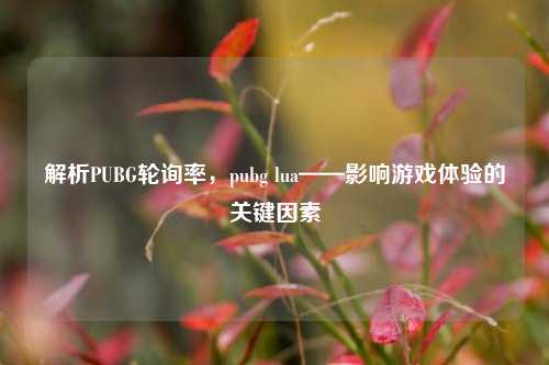 解析PUBG轮询率，pubg lua——影响游戏体验的关键因素