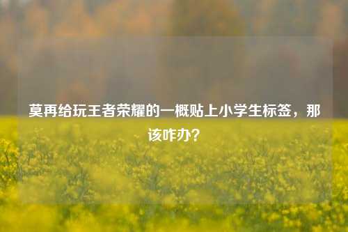 莫再给玩王者荣耀的一概贴上小学生标签，那该咋办？
