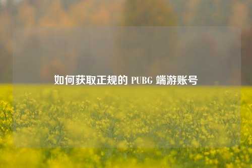 如何获取正规的 PUBG 端游账号
