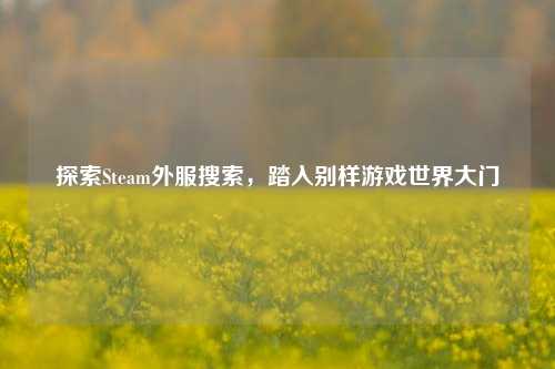 探索Steam外服搜索，踏入别样游戏世界大门