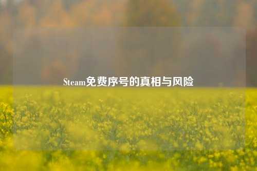 Steam免费序号的真相与风险