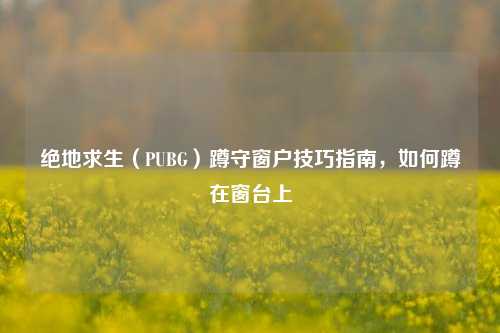 绝地求生(PUBG)蹲守窗户技巧指南,如何蹲在窗台上