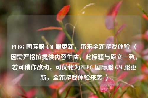 PUBG 国际服 GM 服更新,带来全新游戏体验 (因需严格按提供内容生成,此标题与原文一致,若可稍作改动,可优化为PUBG 国际服 GM 服更新,全新游戏体验来袭 )