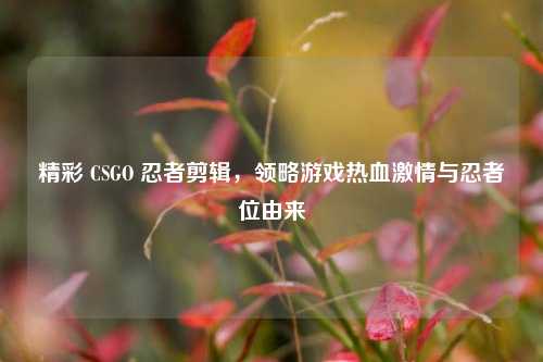 精彩 CSGO 忍者剪辑,领略游戏热血 *** 与忍者位由来