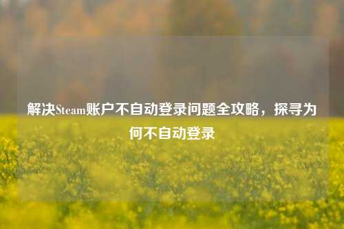 解决Steam账户不自动登录问题全攻略，探寻为何不自动登录