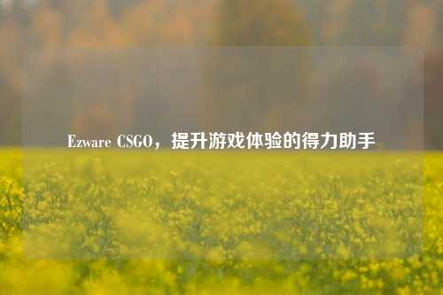 Ezware CSGO，提升游戏体验的得力助手