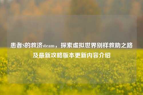 患者S的救济steam,探索虚拟世界别样救助之路及最新攻略版本更新内容介绍