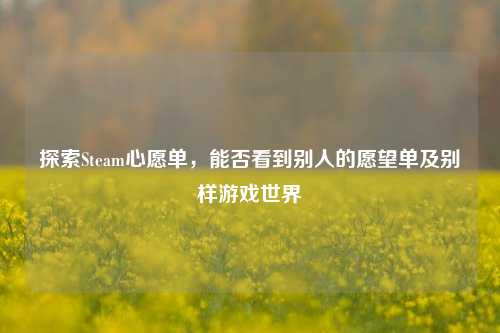 探索Steam心愿单,能否看到别人的愿望单及别样游戏世界