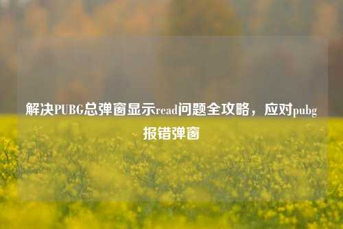 解决PUBG总弹窗显示read问题全攻略,应对pubg报错弹窗