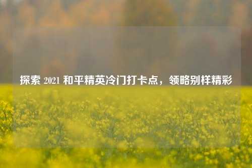 探索 2021 和平精英冷门打卡点,领略别样精彩