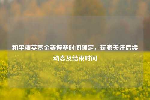 和平精英赏金赛停赛时间确定,玩家关注后续动态及结束时间