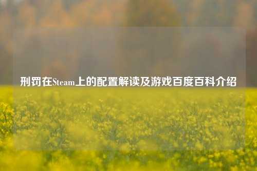 刑罚在Steam上的配置解读及游戏百度百科介绍