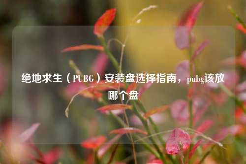 绝地求生(PUBG)安装盘选择指南,pubg该放哪个盘