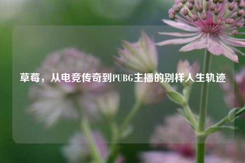 草莓,从电竞传奇到PUBG主播的别样人生轨迹