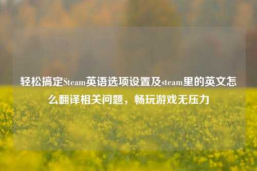 轻松搞定Steam英语选项设置及steam里的英文怎么翻译相关问题,畅玩游戏无压力