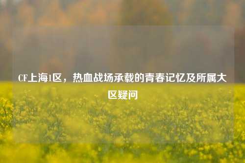CF上海1区,热血战场承载的青春记忆及所属大区疑问