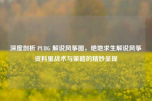 深度剖析 PUBG 解说风筝图,绝地求生解说风筝资料里战术与策略的精妙呈现